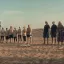 Донские краски на фоне пустыни: Павел Воля в шоу «Выжить в Дубае» появился в костюме от ростовского бренда одежды. 0