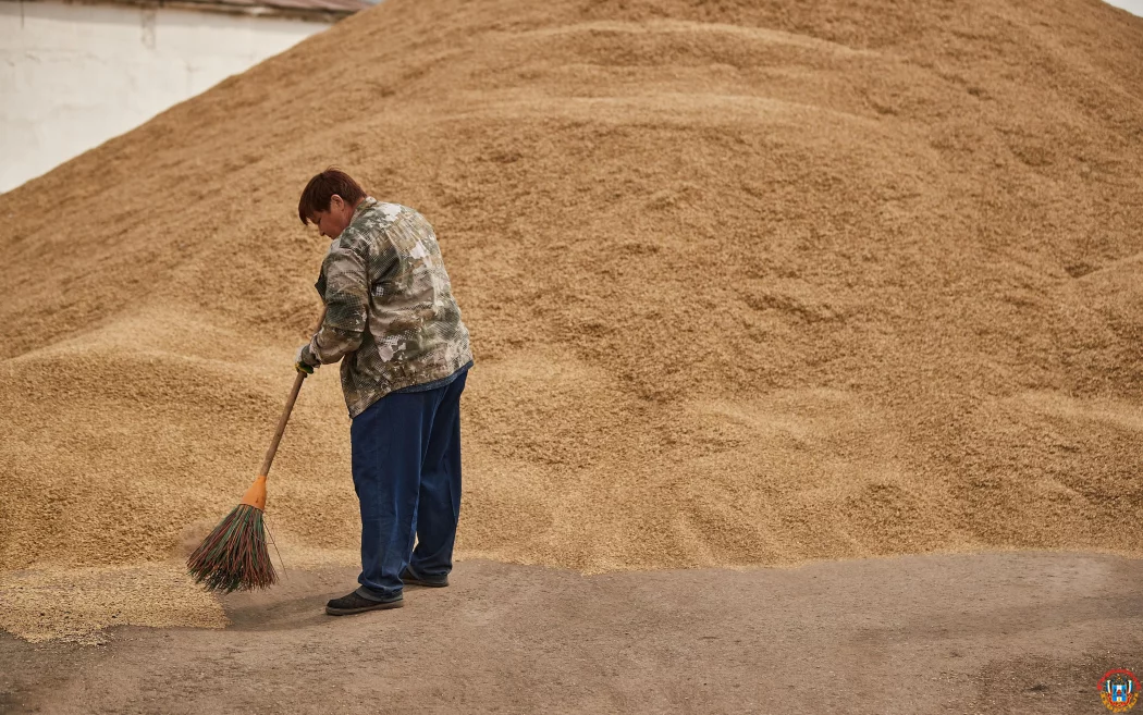 Донской фермер обвинил агрохолдинги в присваивании зерна