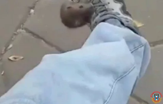 В Батайске на парня напала крыса
