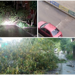 Поваленные деревья, разбитые машины: на Ростов налетел сильный шторм