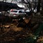 «Секретное» распоряжение: в Ростове под видом благоустройства снова спилили деревья 2