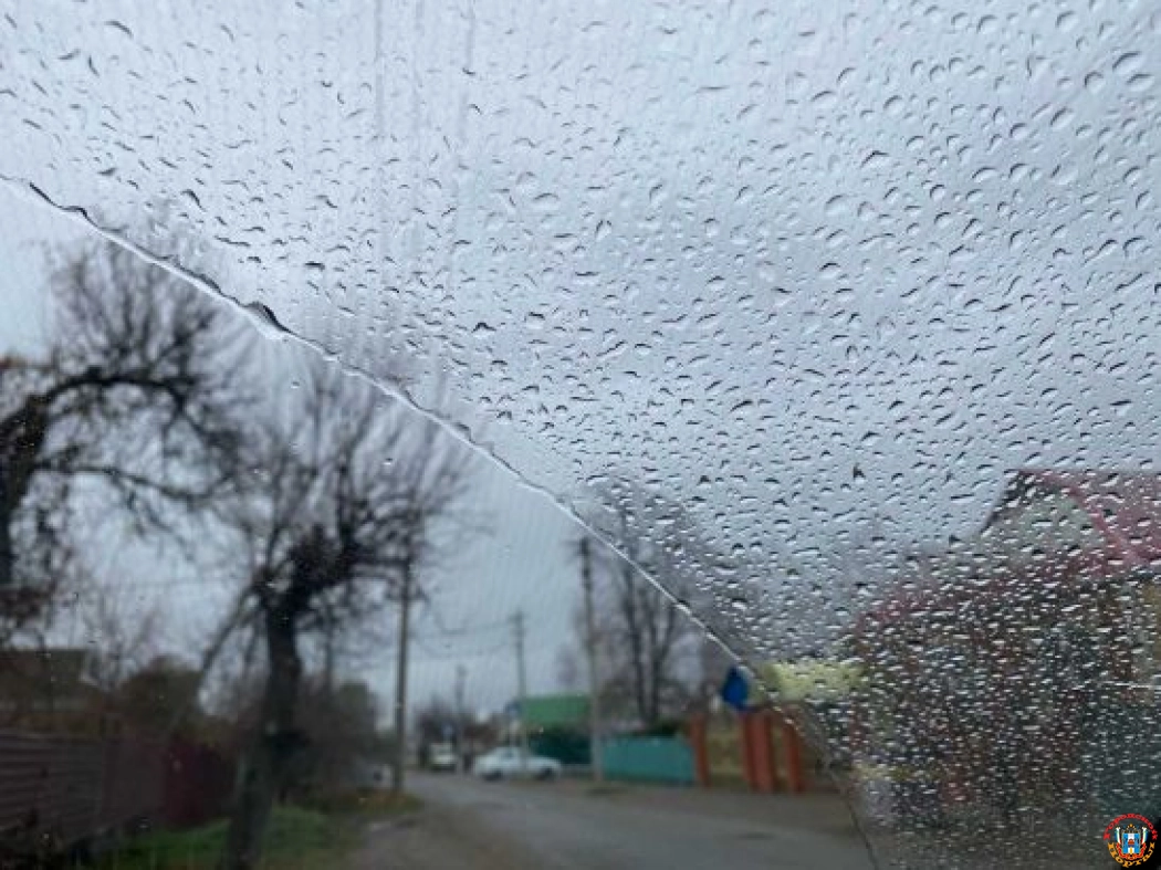 В выходные дни в Ростове ожидается пасмурная и дождливая погода