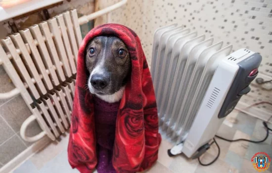 16 многоквартирных домов остались без отопления в Ростове 27 ноября