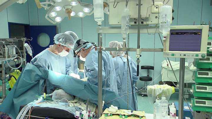 Таких операций еще не было: московские врачи пересадили ребенку сразу два органа