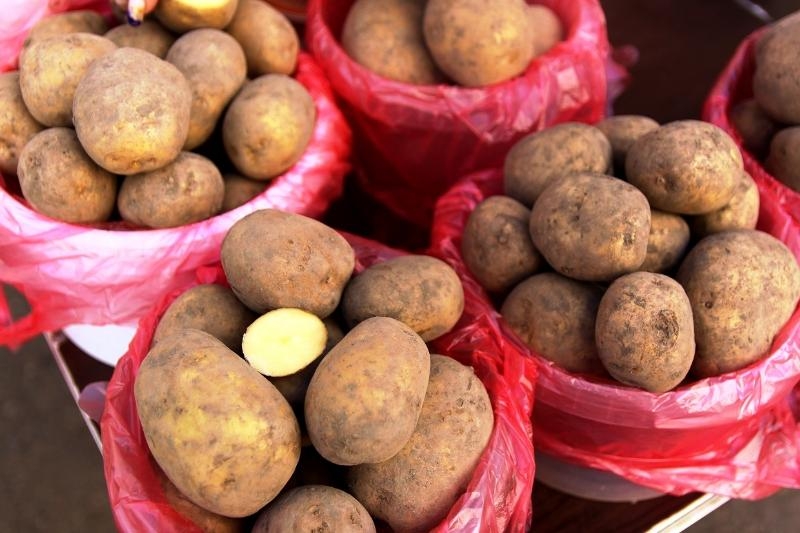 Осенью в Ростовской области сохранят цены на хлеб, но картофель подорожает в 2,6 раза