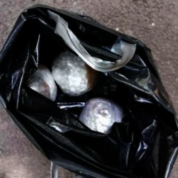 В колонию Ростова пытались перебросить «запрещенку»