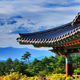 Особенности путешествия в Южную Корею