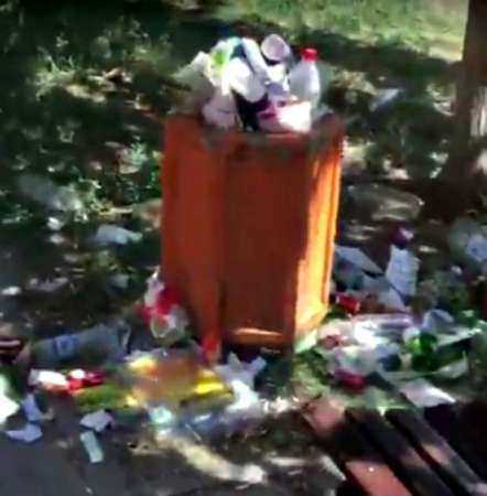 Горы зловонного мусора в городской аллее шокировали жительницу Ростова