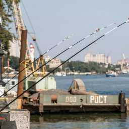 Городские власти планируют изъять у «Ростовского порта» земельные участки для обустройства Театрального спуска