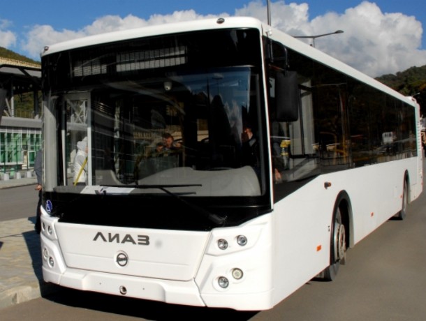 Сохранить автобусы №22 потребовали возмущенные ростовчане