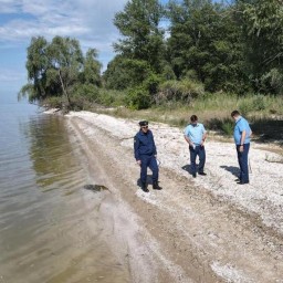 Прокуратура заинтересовалась делом о массовой гибели рыбы в Цимлянском водохранилище