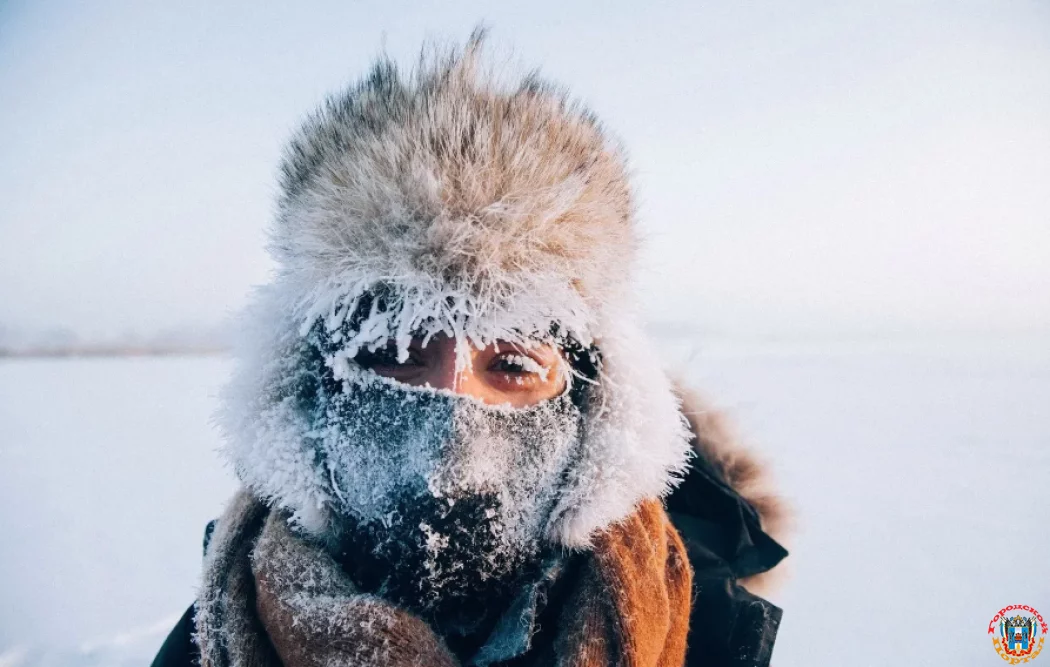 Новую волну морозов в Ростовской области спрогнозировал климатолог