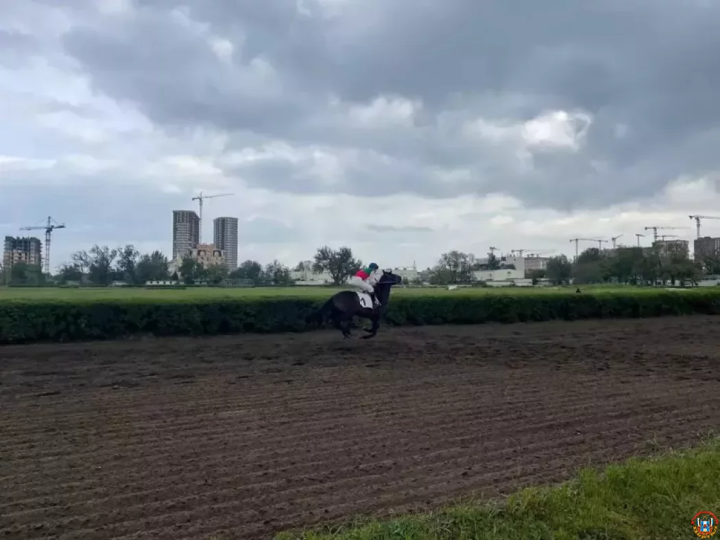 Признать ипподром ОКН: Прокуратура Ростовской области выявила нарушения в отказе Признать ипподром ОКН: Прокуратура Ростовской области выявила нарушения в отказе