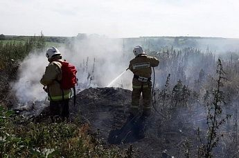 В Ростовской области количество пожаров снизилось почти вдвое