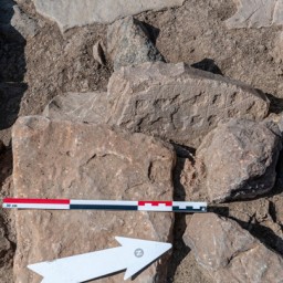 Археологи обнаружили настольную игру возрастом 4 000 лет