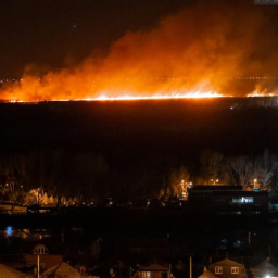 В Ростове на левом берегу Дона возник сильный ландшафтный пожар