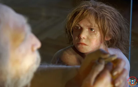 Важный вывод для науки помог сделать&nbsp;нос &laquo;человека из Альтамуры&raquo;