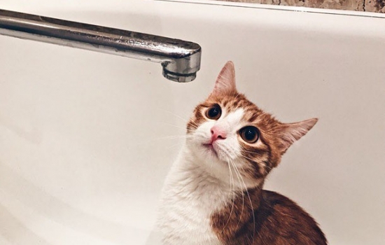 В Ростове снова отключат горячую воду