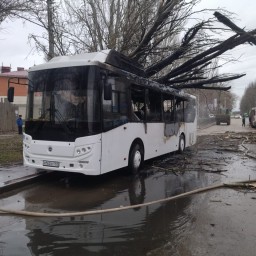 Автобус с пассажирами загорелся после падения на него дерева в Ростовской области