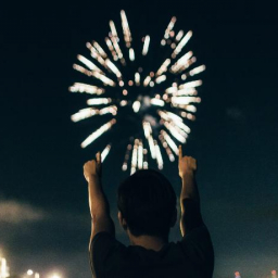 Житель Ростовской области расстрелял полицейского из фейерверка