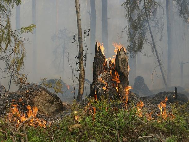 Ростовчан предупредили о высокой пожароопасности в регионе