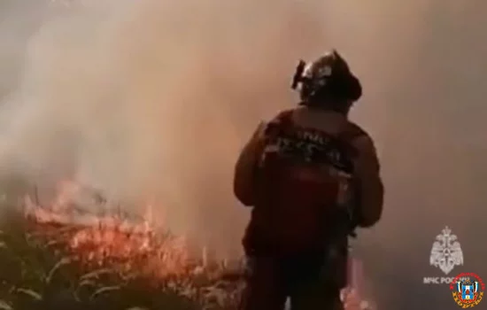 Лесной пожар локализовали на 14 гектарах в Ростовской области