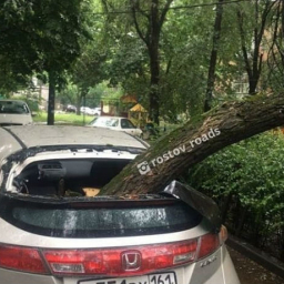 Стихия – разбушевалась: огромная ветка упала на автомобиль в Ростове