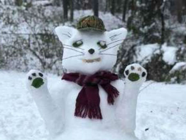 Снежный дом для нежного котика создали ростовские мастера