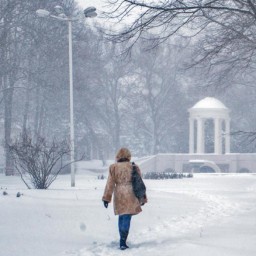 Во вторник в Ростове снова будет идти снег