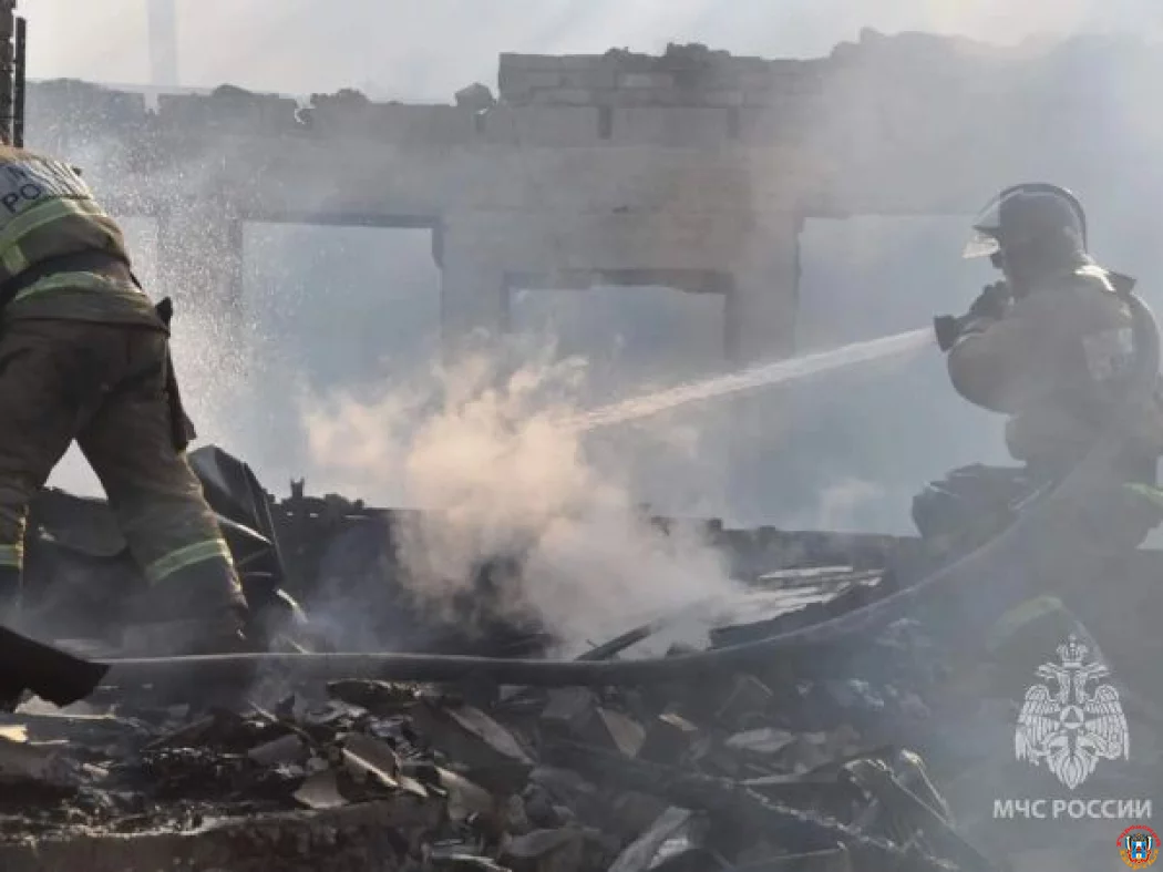 Смертоносное тепло: в Ростовской области число пожаров подскочило на 11% с начала года