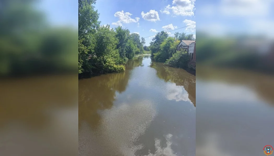 В Красном Сулине передадут в Росприроднадзор факт загрязнения реки Гнилуша