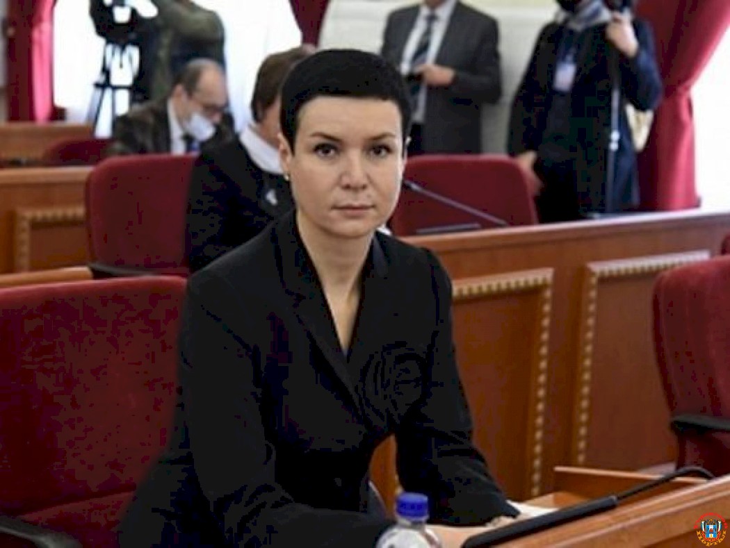 11 инициатив депутатов Ростовской области реализовали на федеральном уровне