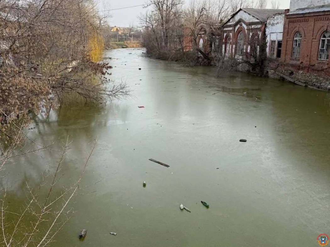 На состояние реки Гнилуши пожаловались местные жители в Красном Сулине На состояние реки Гнилуши пожаловались местные жители в Красном Сулине