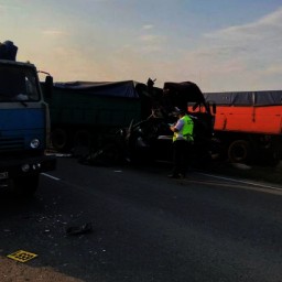 В Ростовской области в массовом ДТП с участием двух КамАЗов пострадали два человека