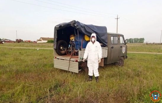 В Ростовской области выявили первый случай заражения туляремией