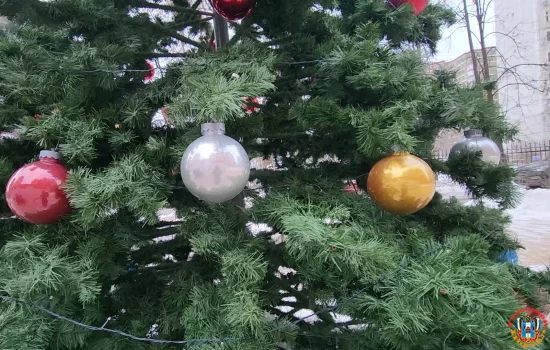 Крупным штрафом для жителей Ростовской области может обернуться новогодняя елка во дворе