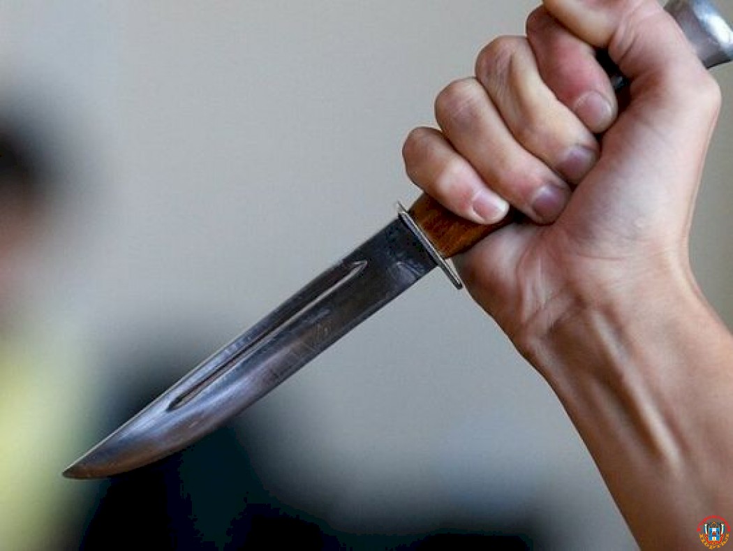 На Дону осудили мужчину, который ударил сожительницу ножом