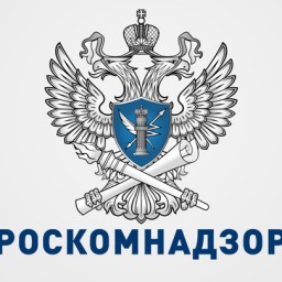В России заблокировали правозащитный сайт "ОВД-Инфо"