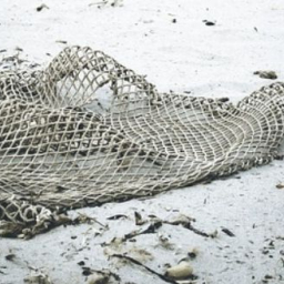 Донские пограничники задержали браконьеров с уловом на 2,5 млн рублей