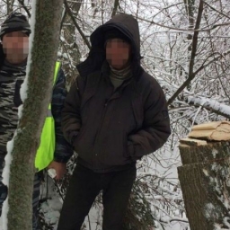 Это вам не валежник таскать: ростовчанин, срубивший ясень, может попасть в тюрьму на два года