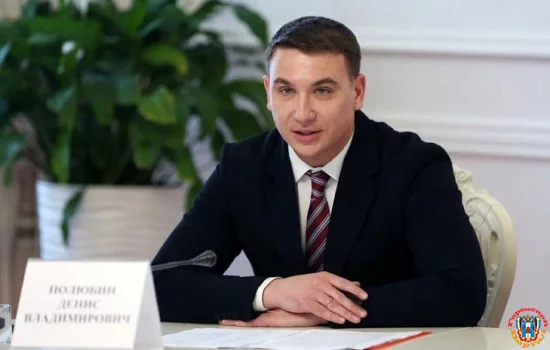 Департамент экономики Ростова возглавил бывший министр экономразвития Ставрополья вместо экс-фотомодели