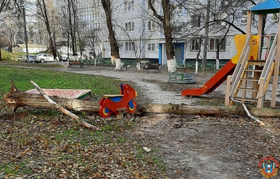 В центре Ростова на детскую площадку обрушилось огромное аварийное дерево