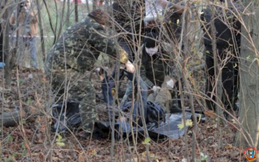 В лесополосе под Ростовом нашли человеческие останки