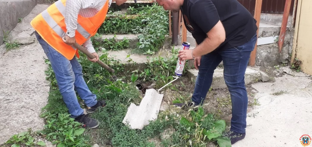 Власти Ростова нашли домовладельцев, сливавших нечистоты в Темерник