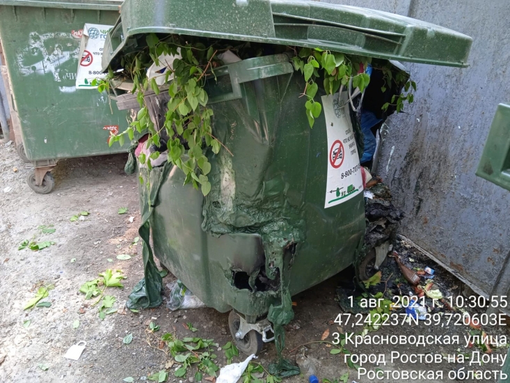 За несколько месяцев жители Ростова испортили 340 мусорных контейнеров