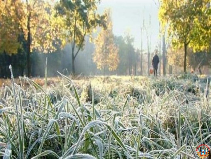 В Ростовской области объявили экстренное предупреждение о заморозках