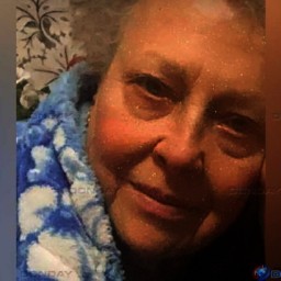 В Ростовской области ищут без вести пропавшую пенсионерку