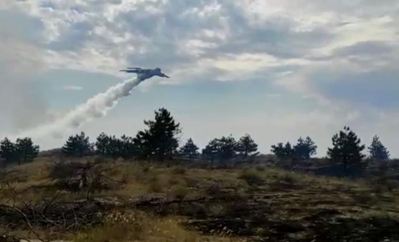 Губернатор Ростовской области назвал причину лесного пожара в Усть-Донецком районе