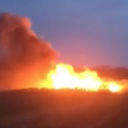 Ради эффектного селфи: ростовчане подожгли поле и назвали свои имена на видео