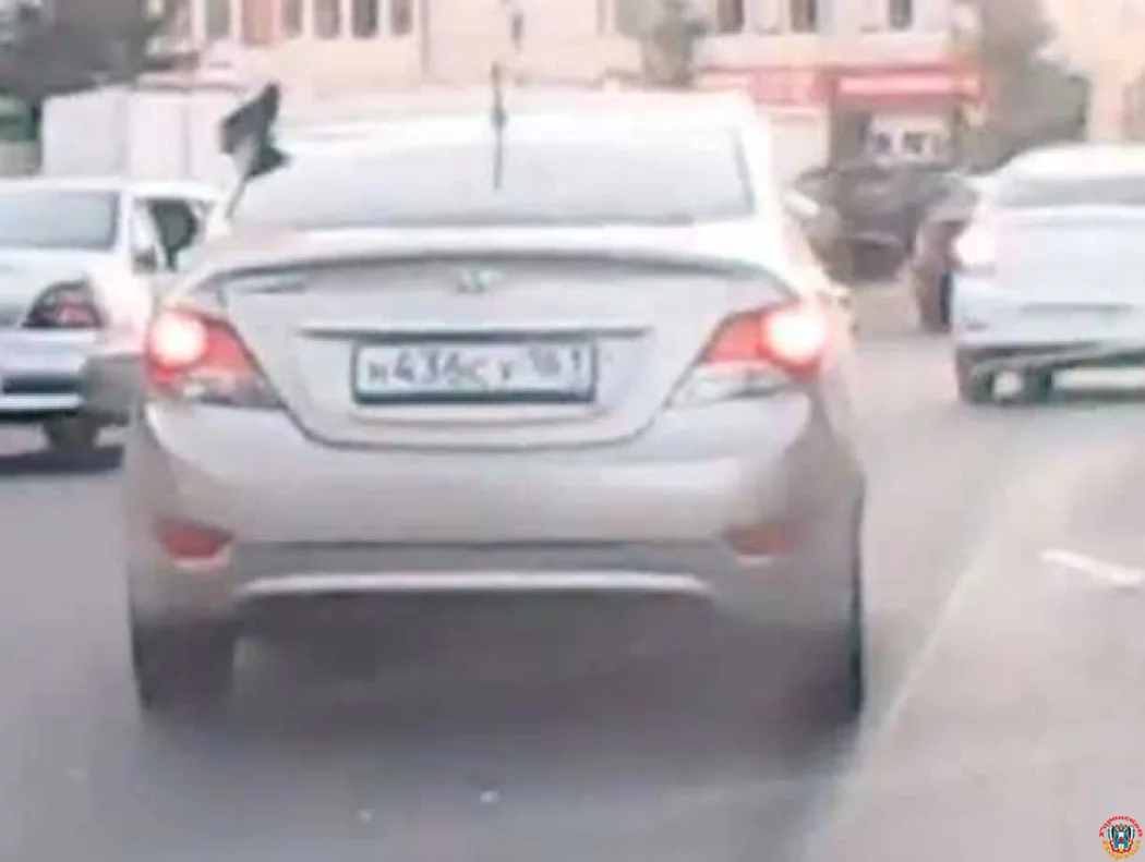 Путешествующий &laquo;зайцем&raquo; на крыше иномарки ленивый голубь-автостопщик рассмешил ростовчан